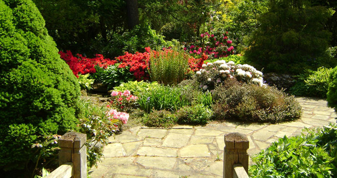 Garden design services from FT Gearing