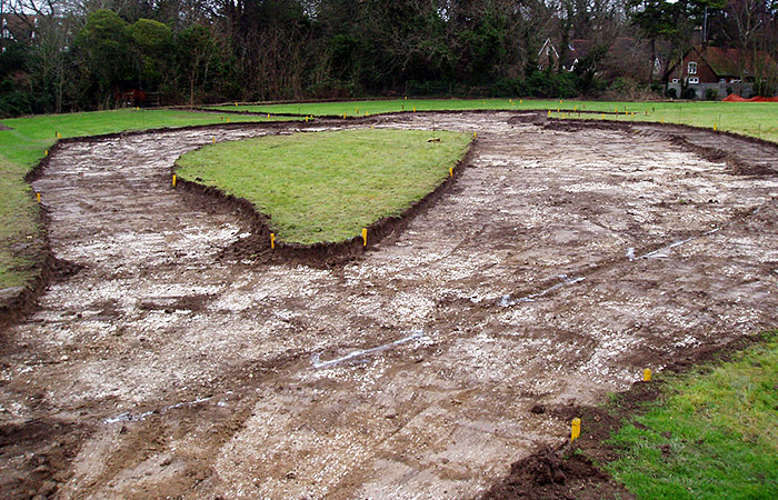 Construction of natural park at Natural History Museum