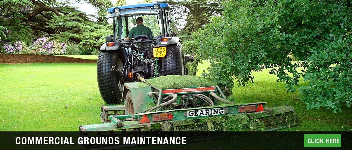 Commercial grounds maintenance