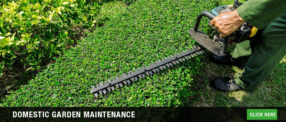 Domestic garden maintenance